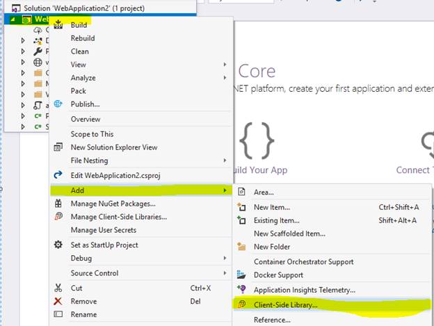 Client-Side Package Management With Library Manager In Visual Studio